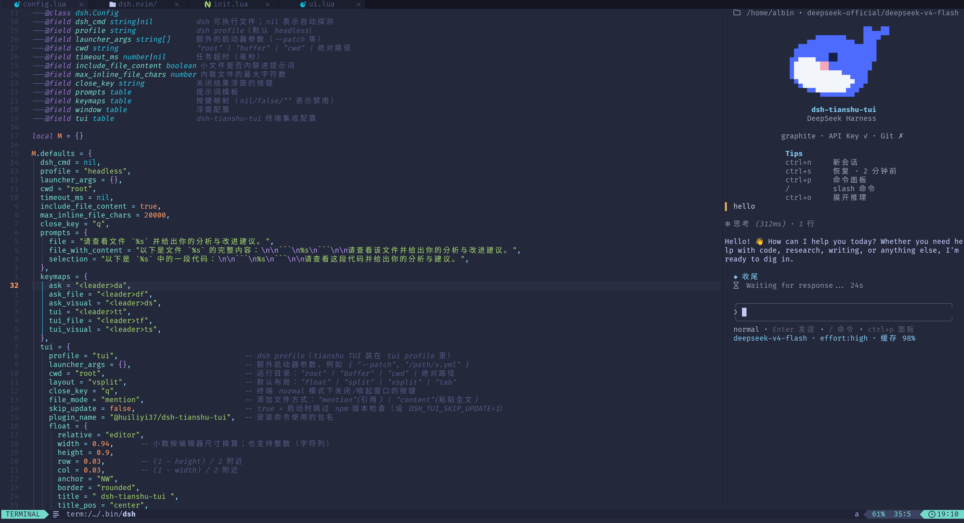 dsh.nvim 截图