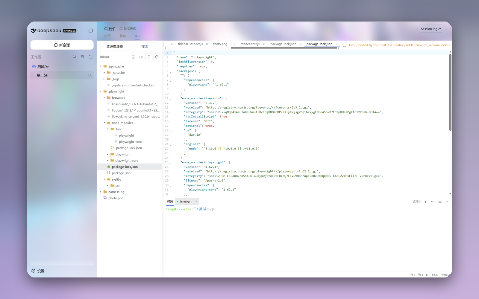 dsh code ide demo