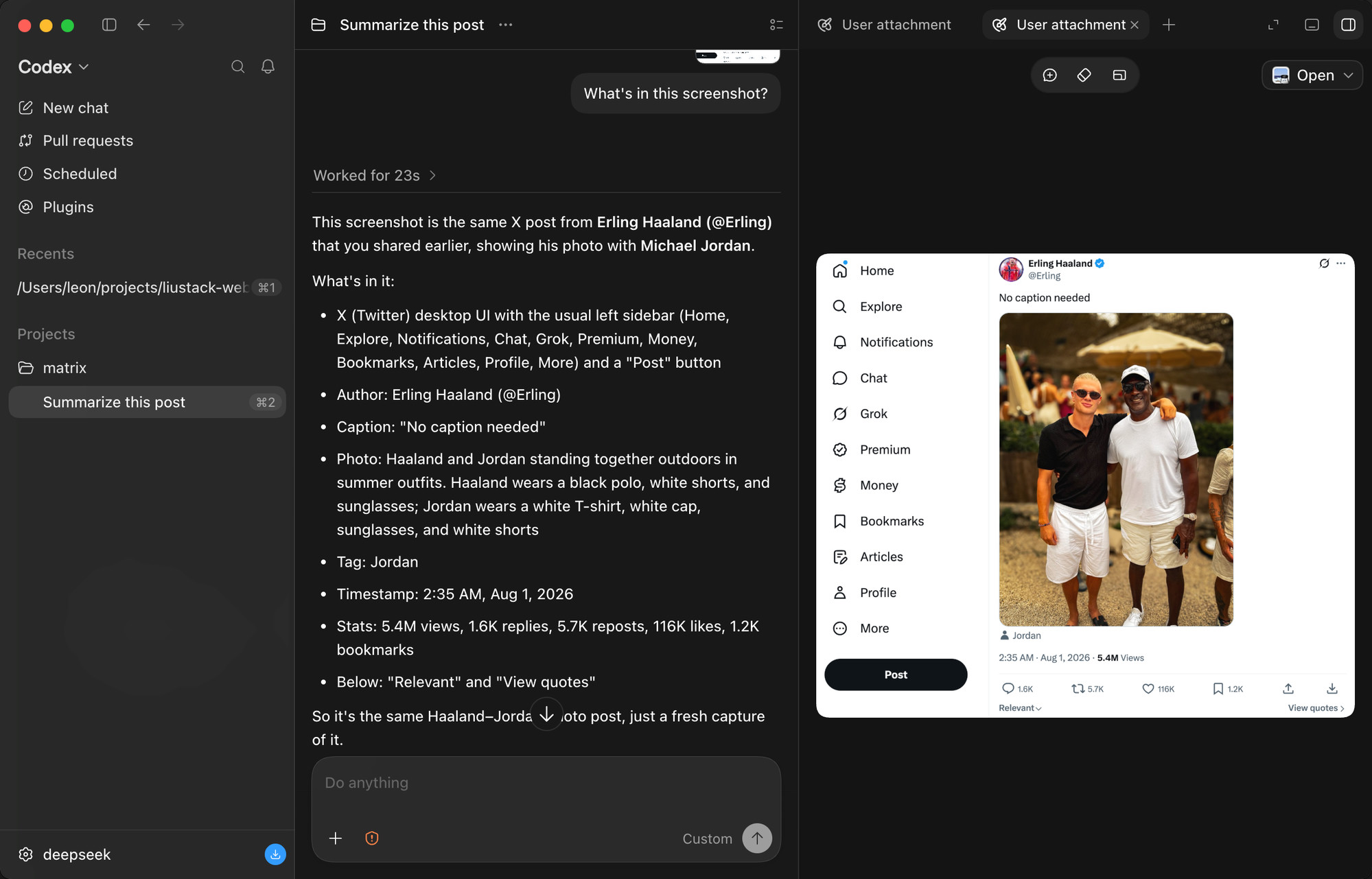 demo codex app