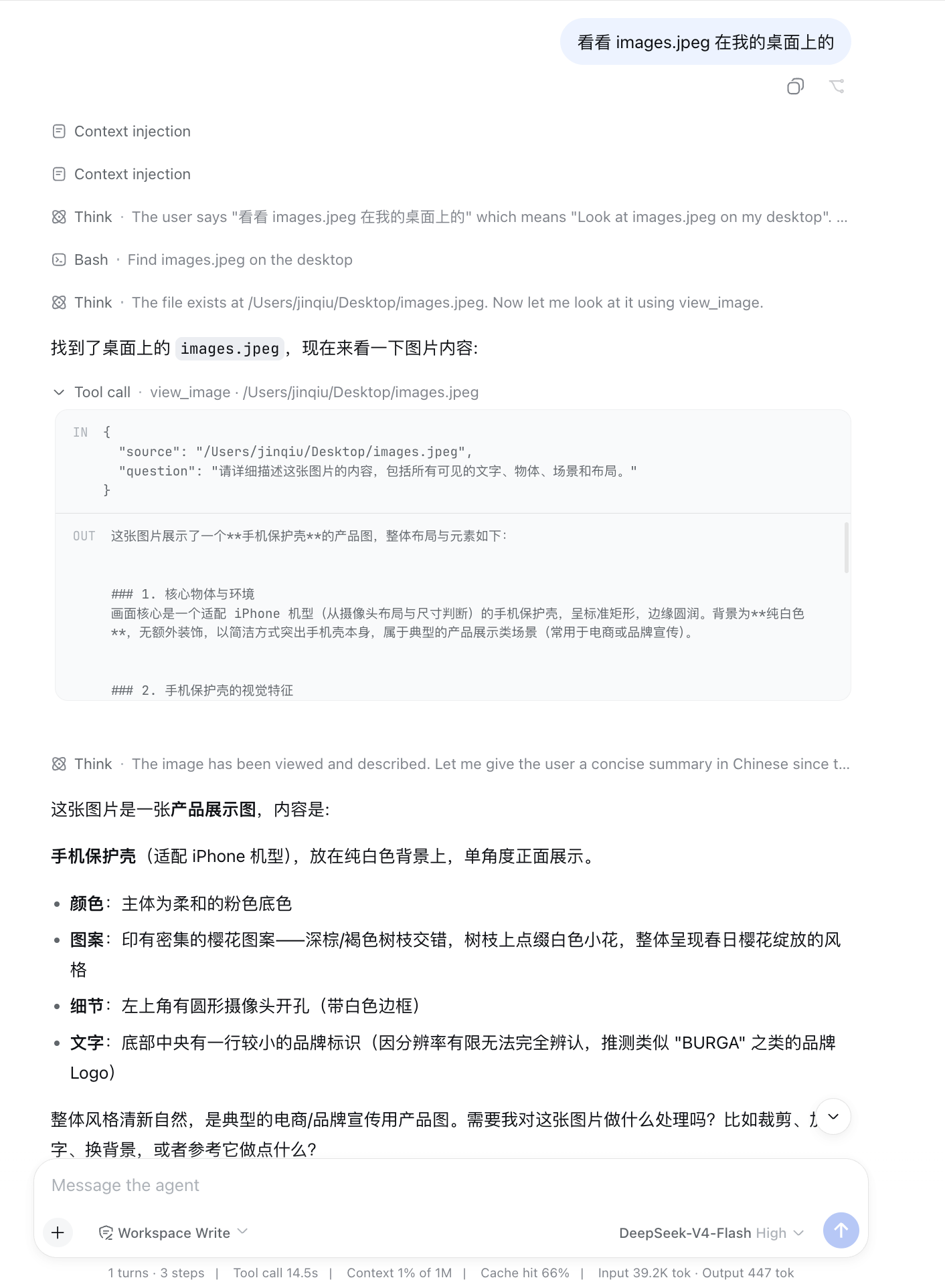 dsh web 会话：模型自主调用 view_image 并准确描述图片