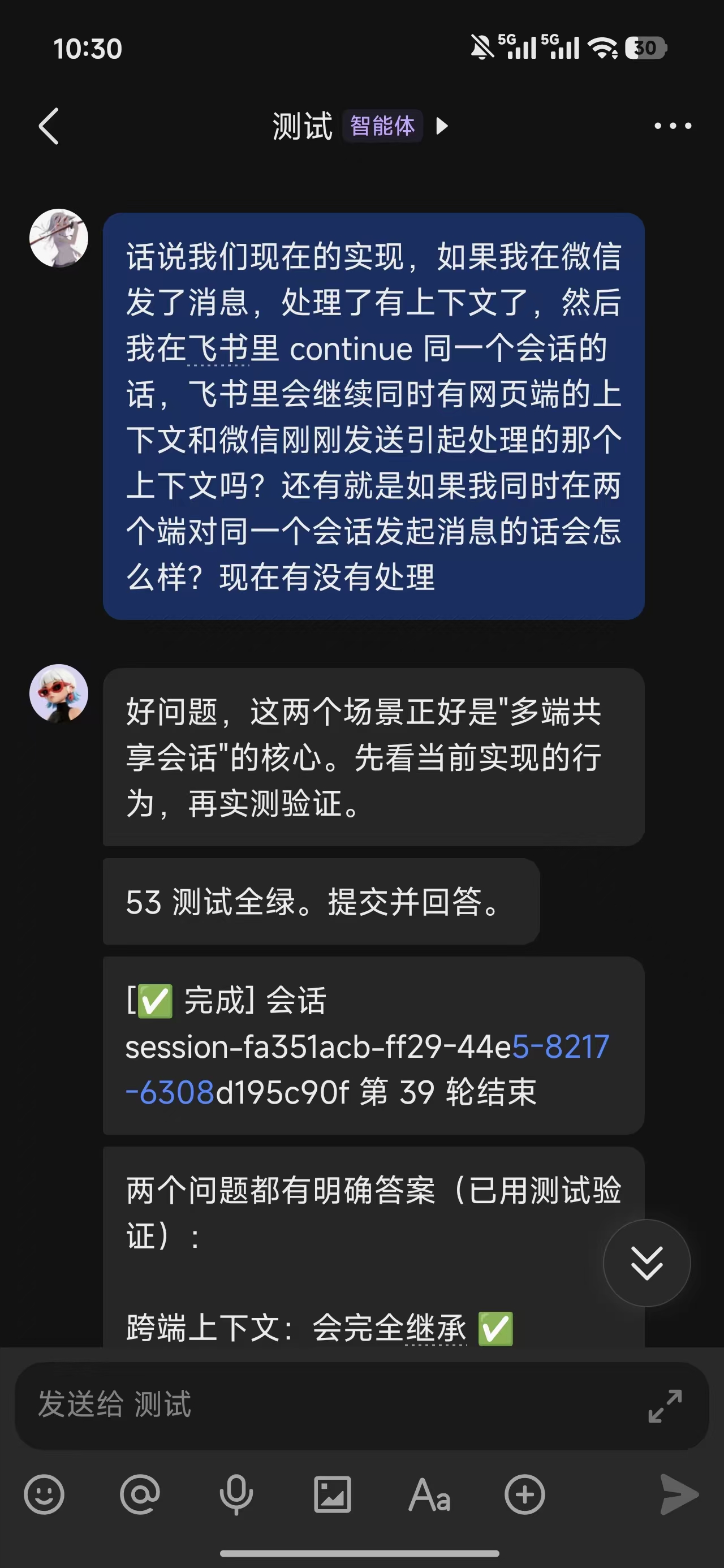 Feishu chat screenshot